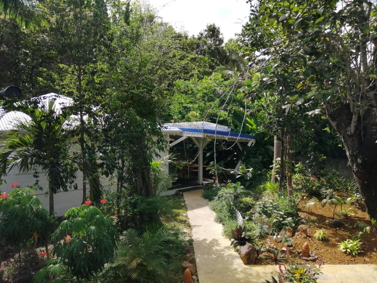 Villa Blue Kaz Caraib Pointe-Noire Exterior foto