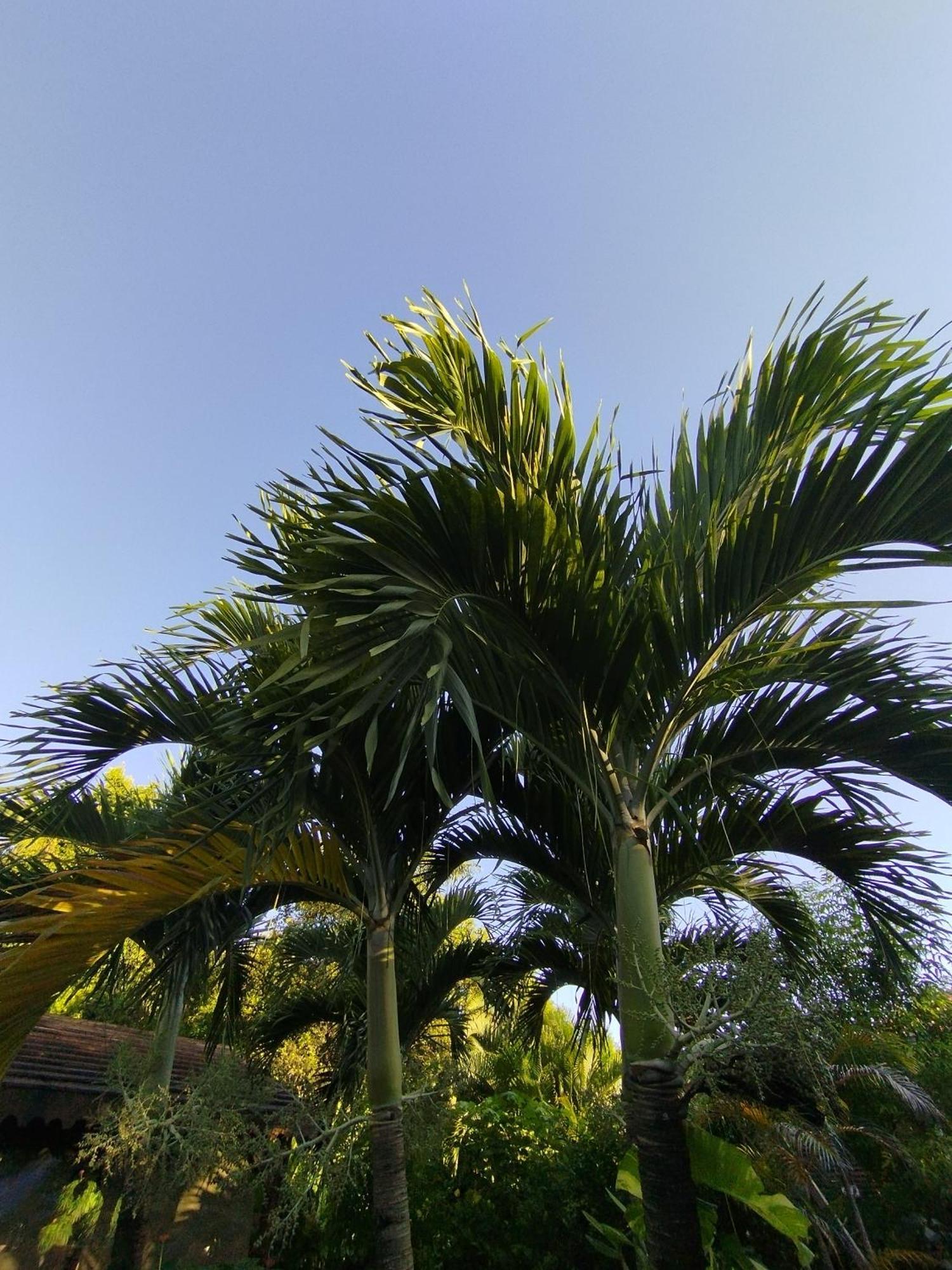 Villa Blue Kaz Caraib Pointe-Noire Exterior foto